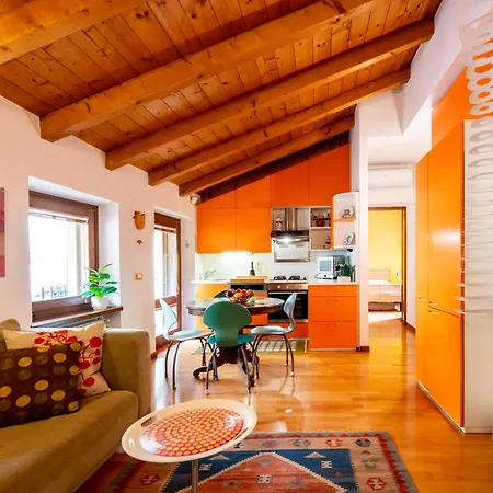 Daire Elegant Colorful - *